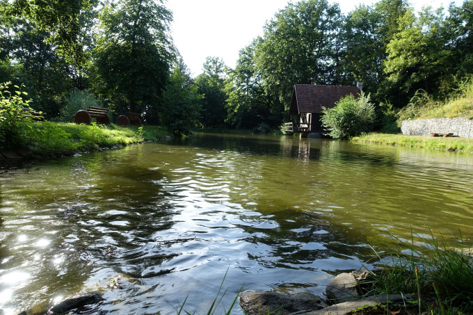 DSC08460