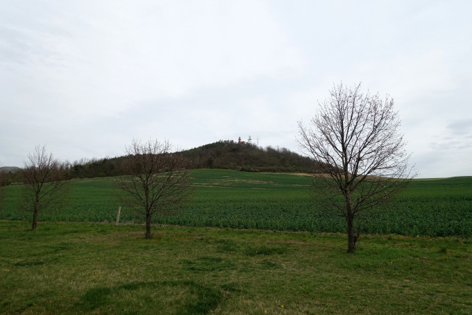 DSC06399