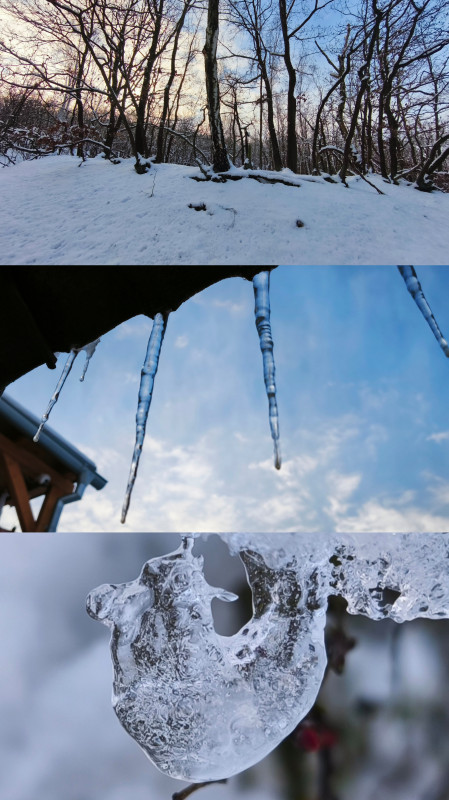 InCollage_20250215_184224367