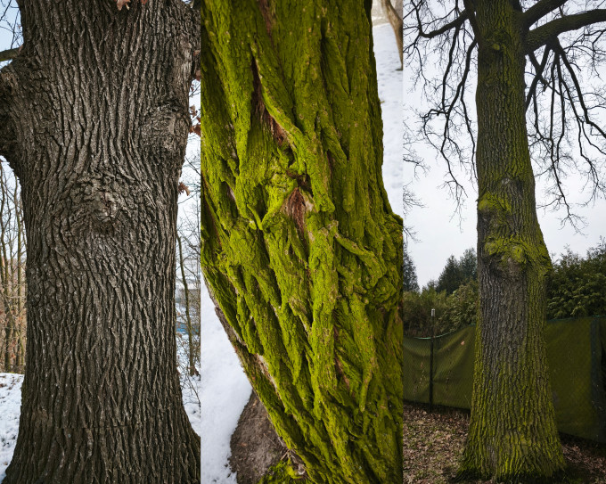 InCollage_20250227_101908841