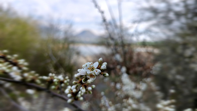 IMG_20250413_083213