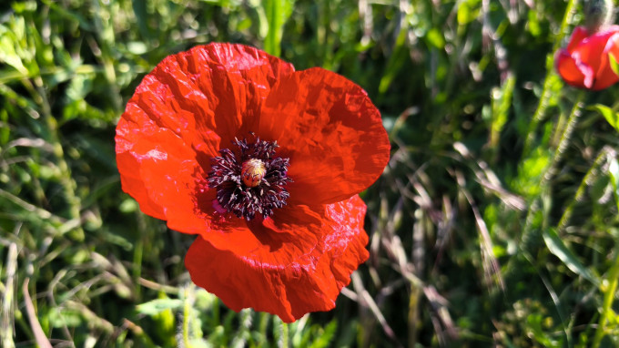 IMG_20250510_085610